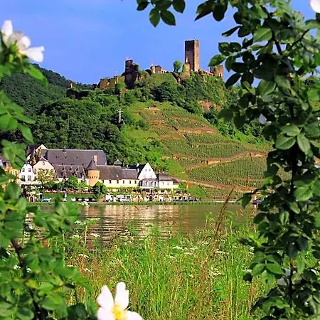 Haus Burg Metternich فندق