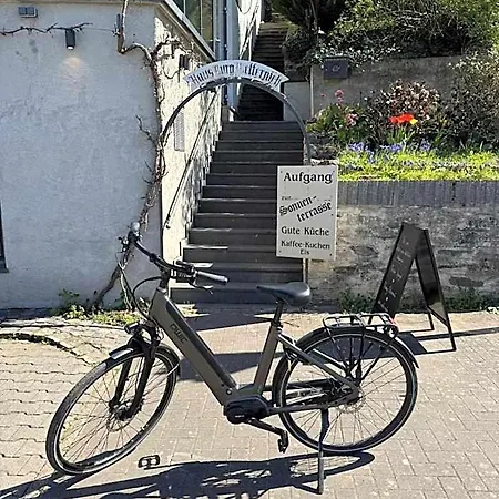 فندق Haus Burg Metternich *